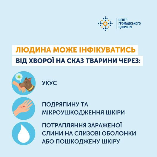 На зображенні може бути: текст «центр громадського здоров'я людина може нфкуватись вðд ΧΒΟΡΟΪ на сказ тварини через: укус подряпину ΤΑ мкроушкодження шкри потрапляння заражено